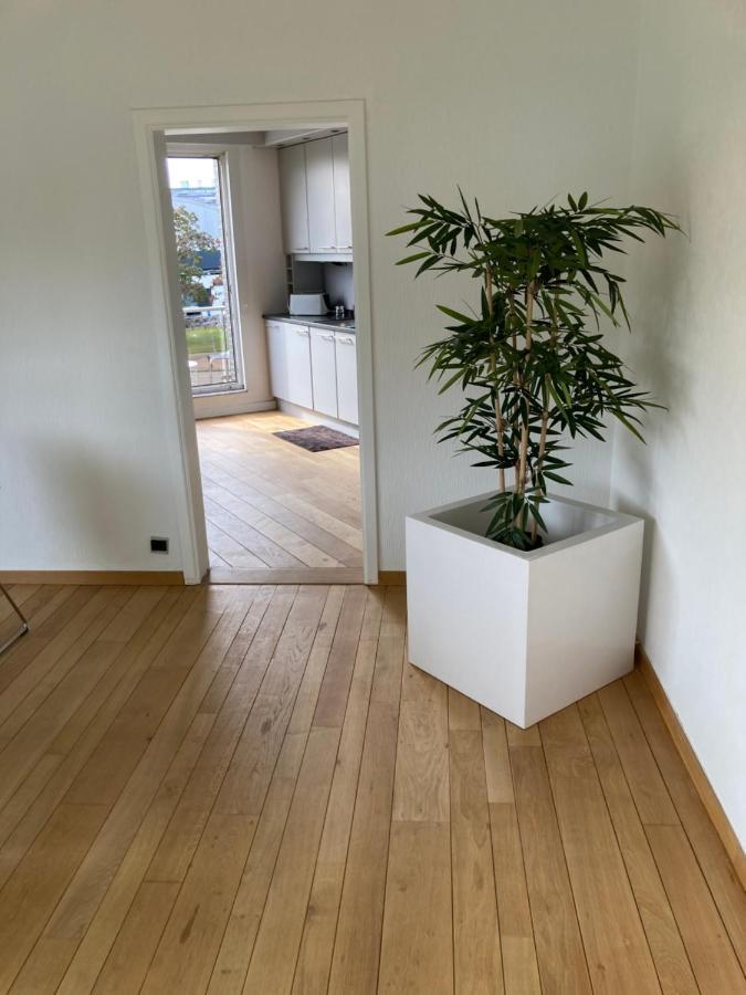 Lichtrijk Mooi Appartement Met Zicht Op Hof Van Roosendael Anversa Esterno foto